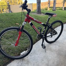 Giant 26” Bike