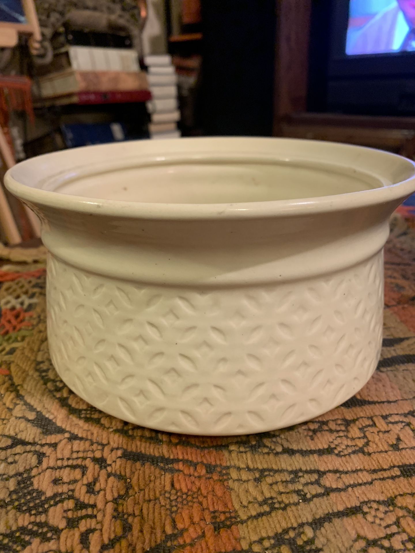 Decorative Floral / Potted Plant Off-White Ceramic Container 