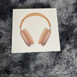 AirPod Pro Maxs Orange  Sealed 