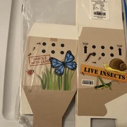 Treat Boxes