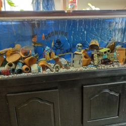 Aquarium 