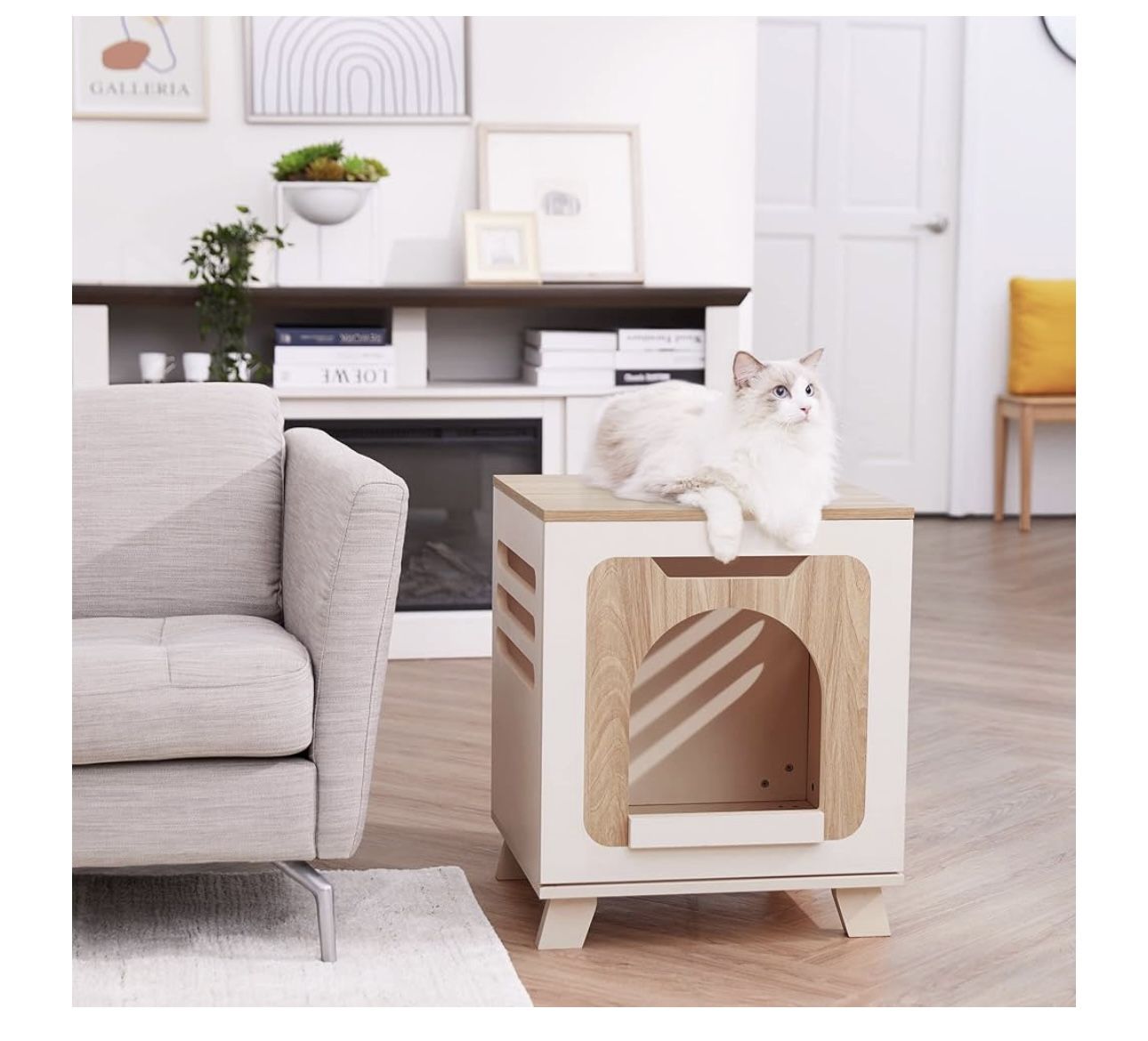 Cat Litter Box