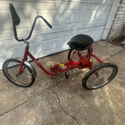 Trail Mate Desoto Tricycle 20”