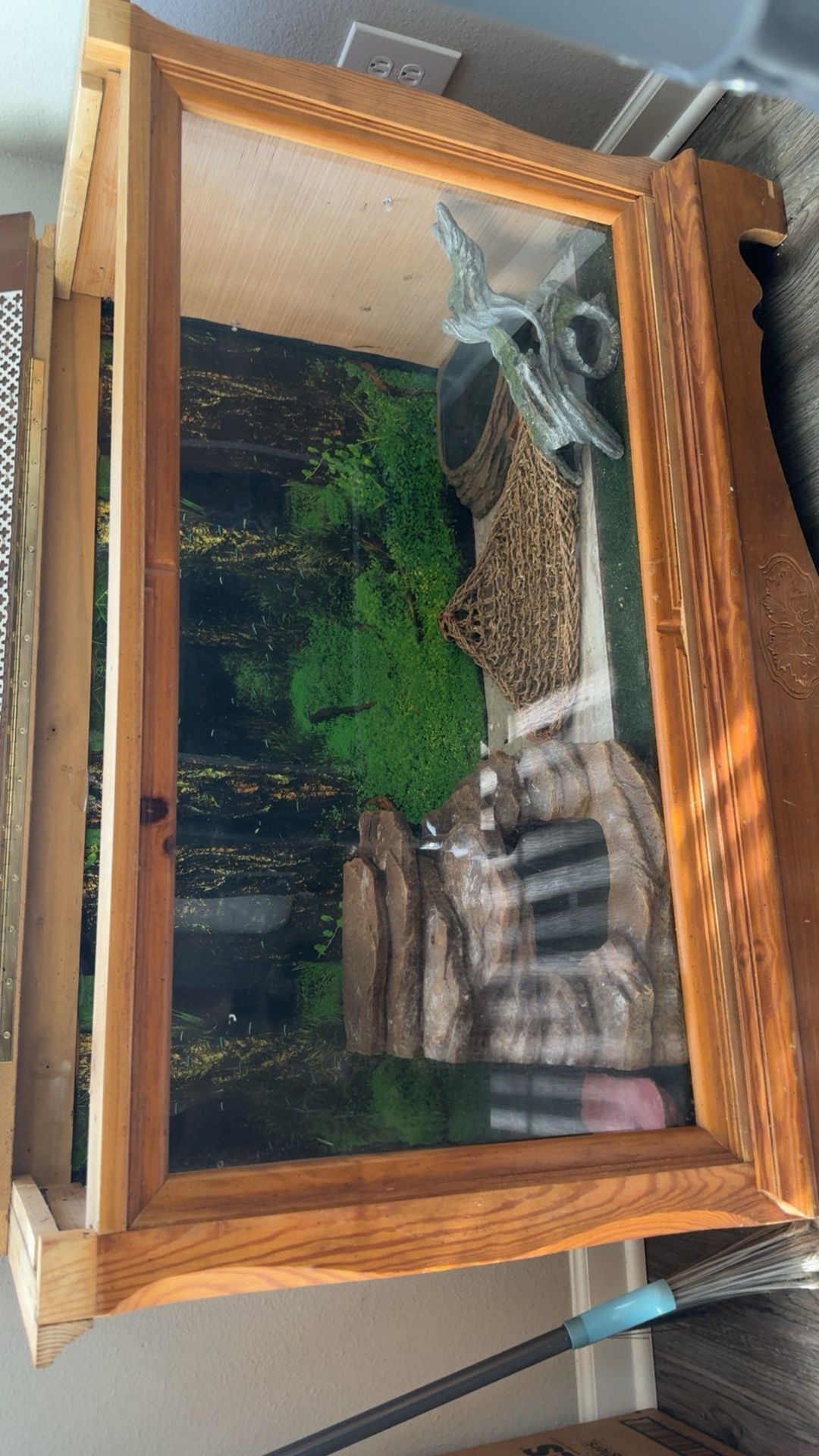 Reptile Cage