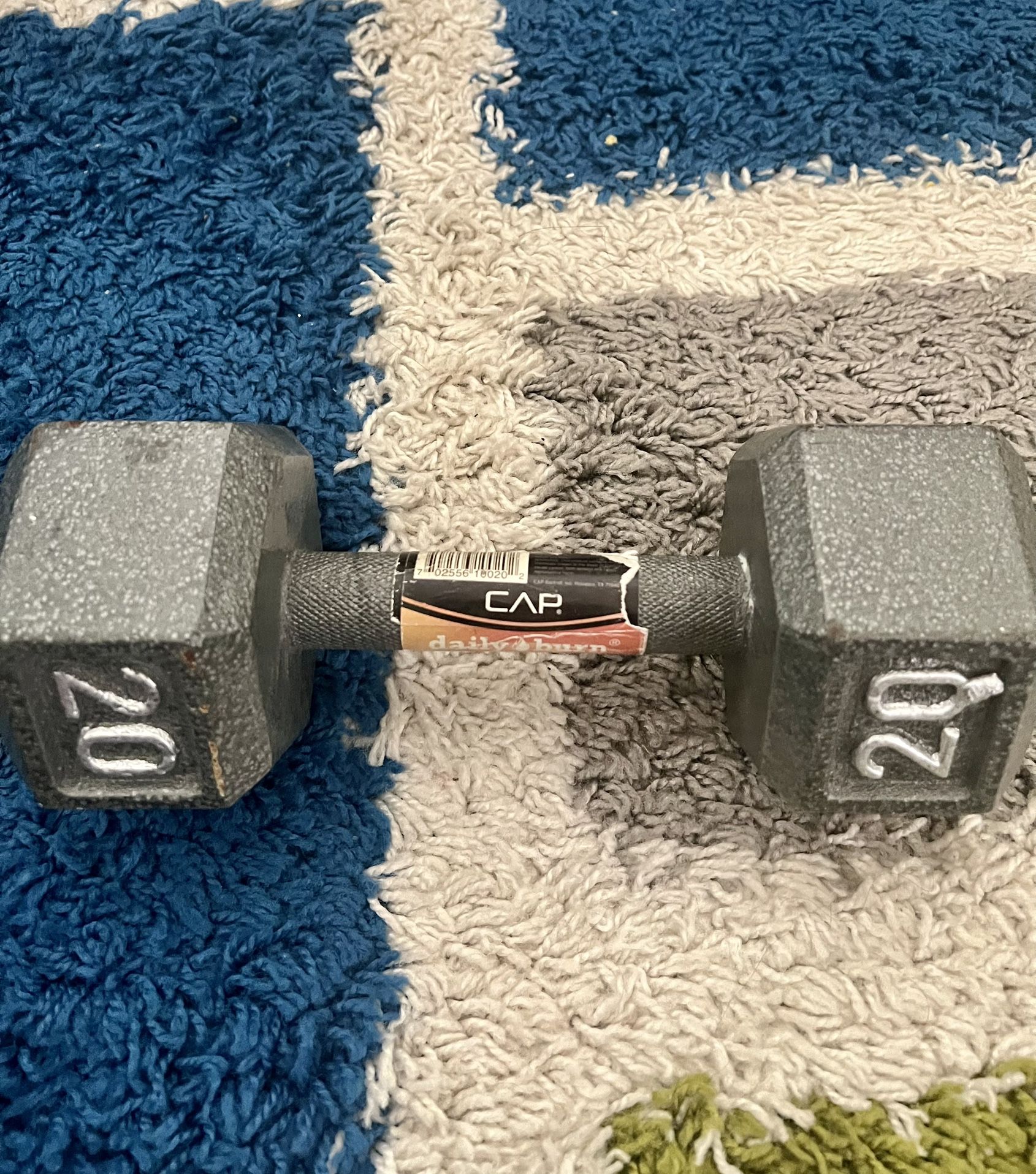 20 Pound Dumbbell (Single)