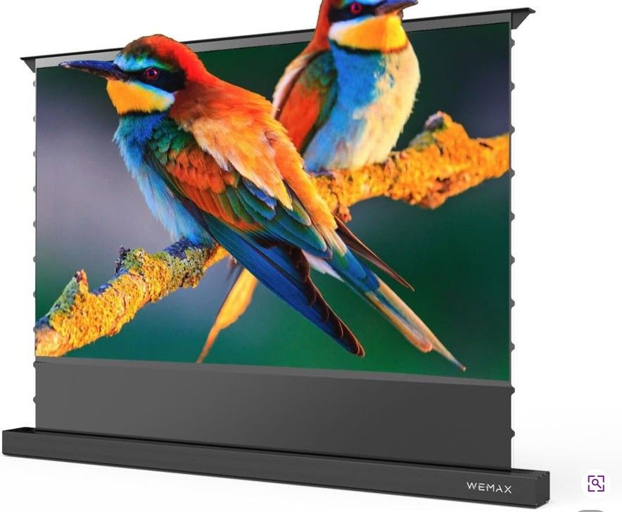 WEMAX Electric Projector Screen w/ Smart Voice Control, 4K UHD 0.6 Gain Telephoto Anti-Light Screen