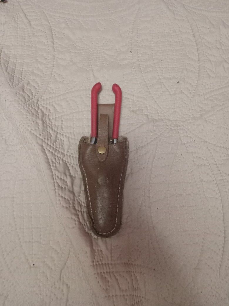 Tigera De Grama Con Su Estuche En Venta