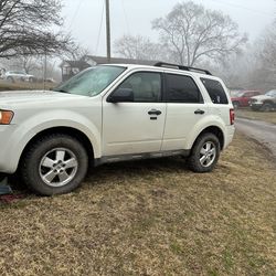 2010 Ford Escape