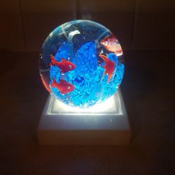 Stunning Paperweight with Fish