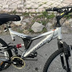 Triax Mountain Bike