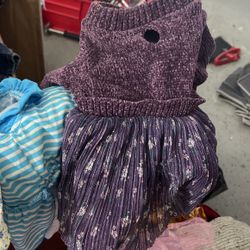 Lots Of Clothes For a Small Girl Dog