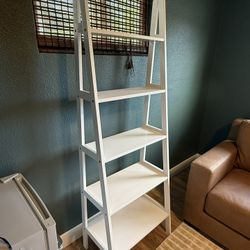 Ladder Shelf 