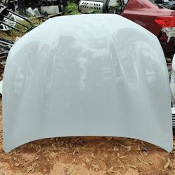2021 To 2024 Ford Mustang Mach E Hood OEM Original