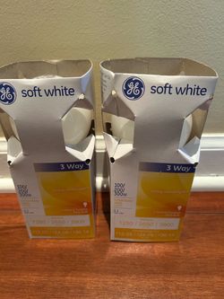 New Large light Bulbs