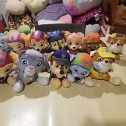 Paw Patrol 