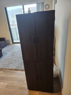 Dark Brown Wood Storage Cabinet with Doors