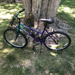 26” Mountain Bike 