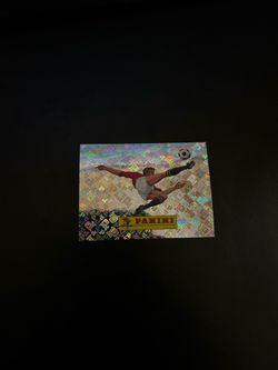 Panini 00 World Cup Sticker