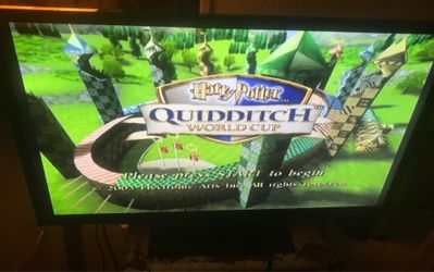 Harry Potter’s Quidditch World Cup