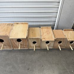 Bird House Bird Nest 