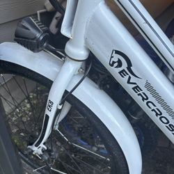 Electric Bike 