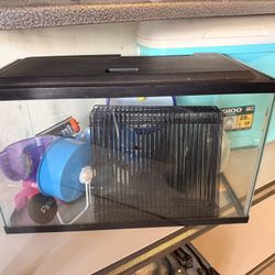 Hamster Cage With Hamster Needs 