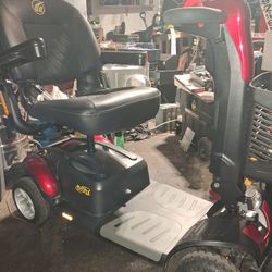 GOLDEN BUZZ AROUND XL