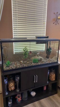 55 Gallon Fish Tank With Supplies