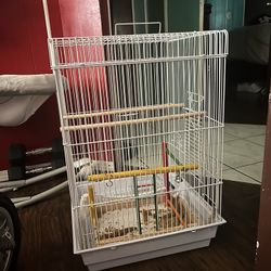 Bird Cage