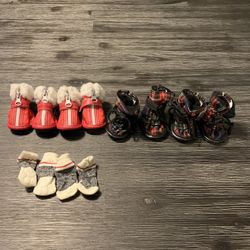 Doggy boots for the snow and a couple pairs of socks