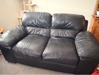 Leather Couches
