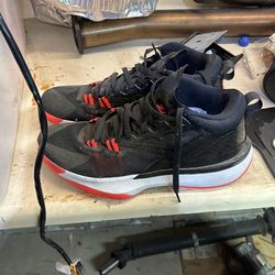 Zion Shoes 11.5