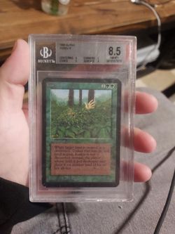 1993 Alpha Kudzu MTG Card BGS 8.5 NM-MT+
