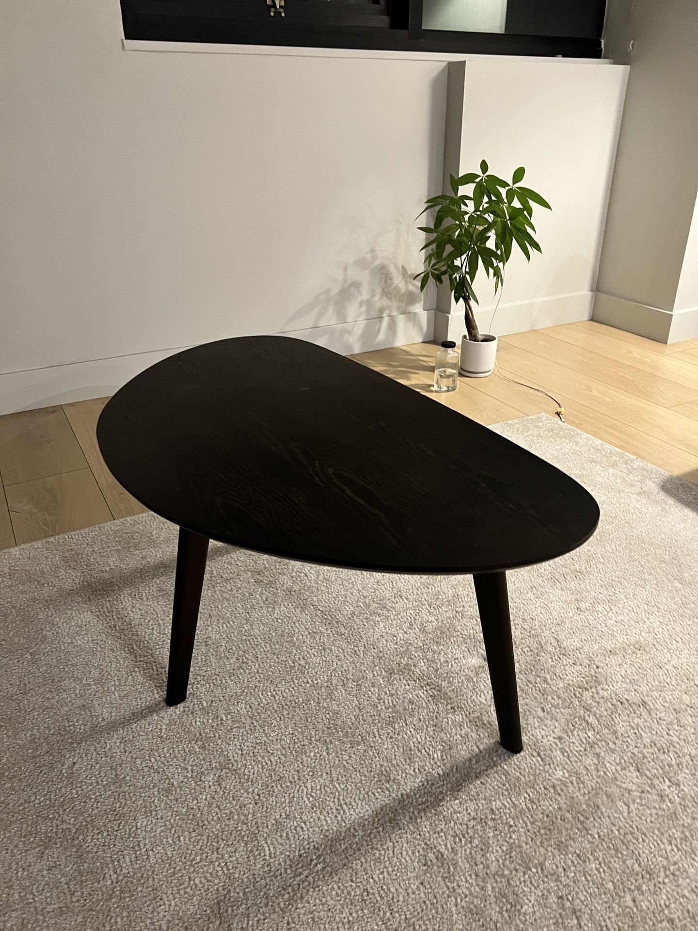 Oval Coffee Table