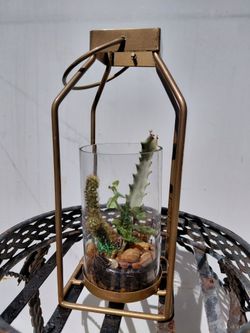 Gold Metal Lantern Terrarium with Succulents