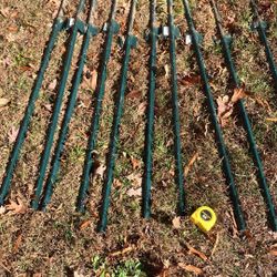 Green Plastic Garden Fence and 10 posts (4ft)