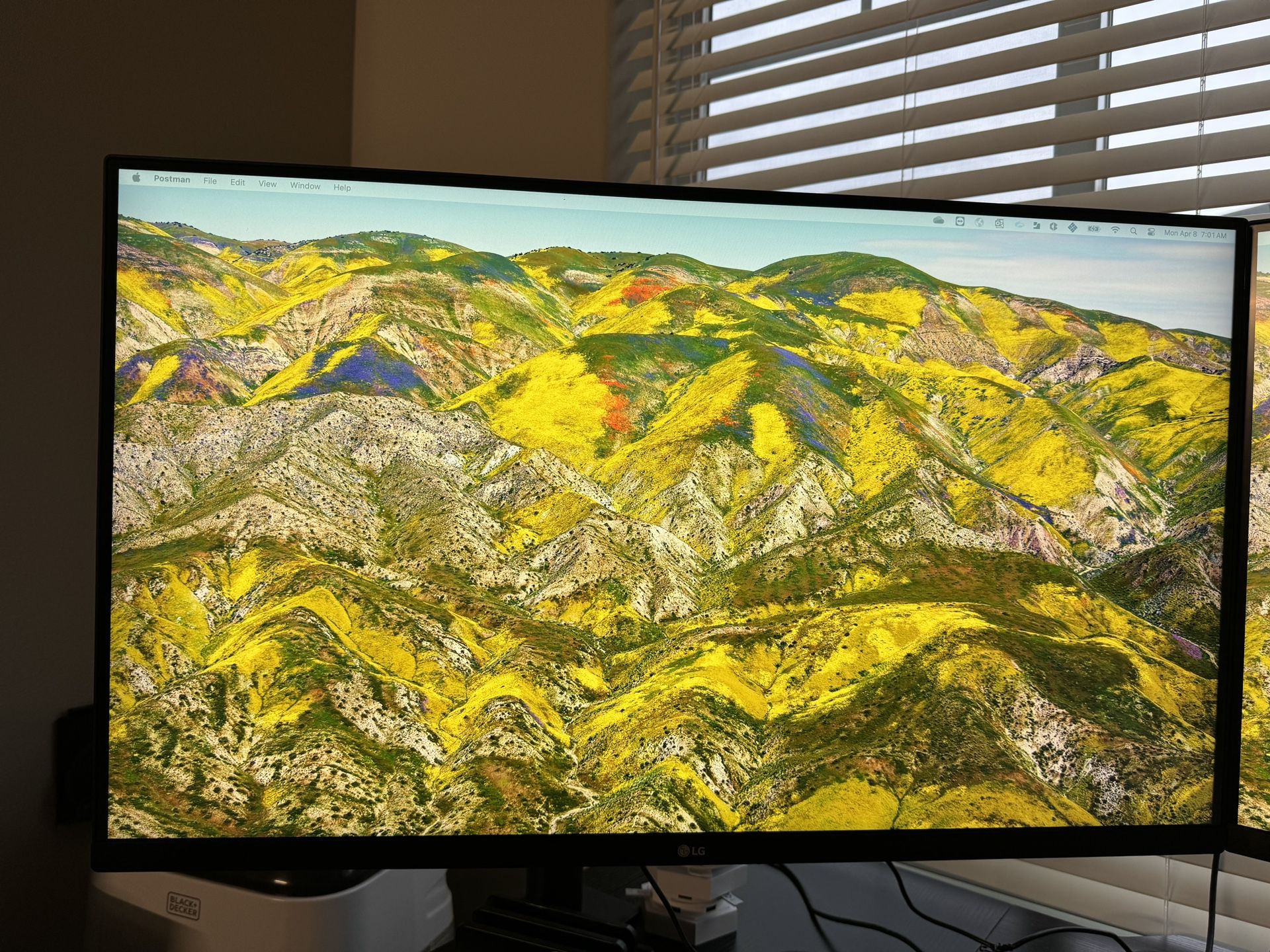 2 *LG Ergo 32 Inch 4k Monitors With Mouting Arms