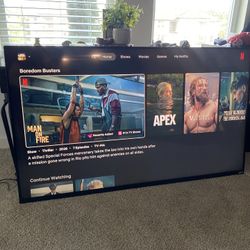 Vizio TV With Roku