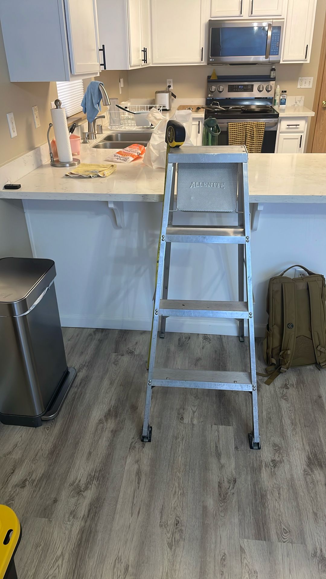 Aluminum Ladder