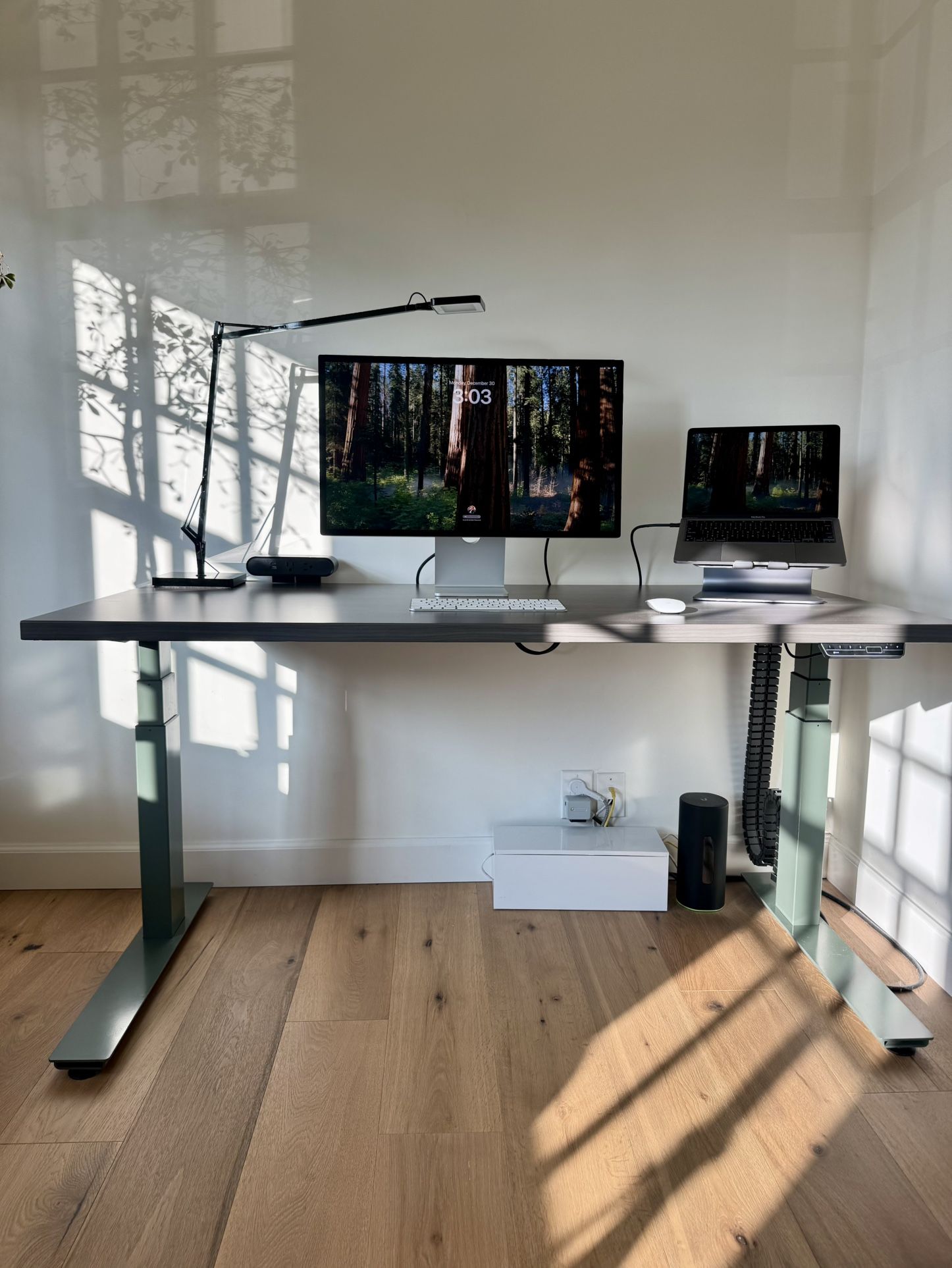 DeskHaus Standing Desk (Made in the USA)