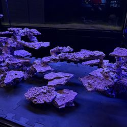 Custom NSA Reef Rock Scape Saltwater Aquarium Decor Aqua Scape Marco Rock 
