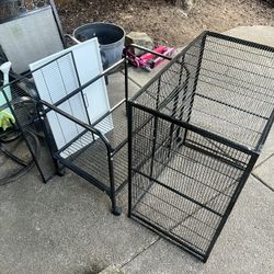 Bird Cage 