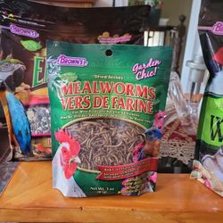 Bird Feed