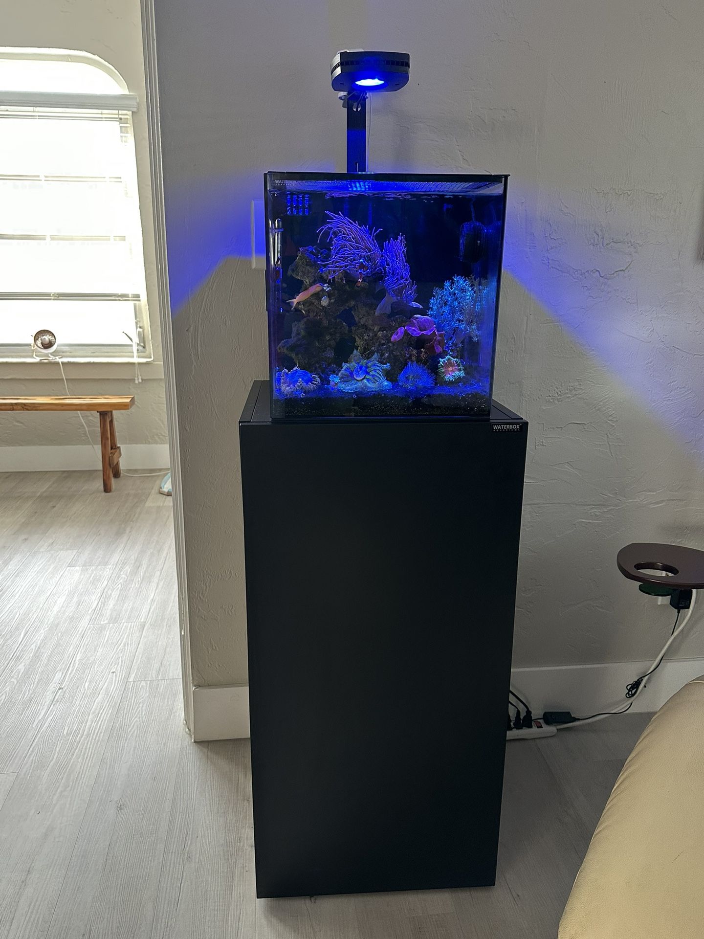 Water box 10 gallons!