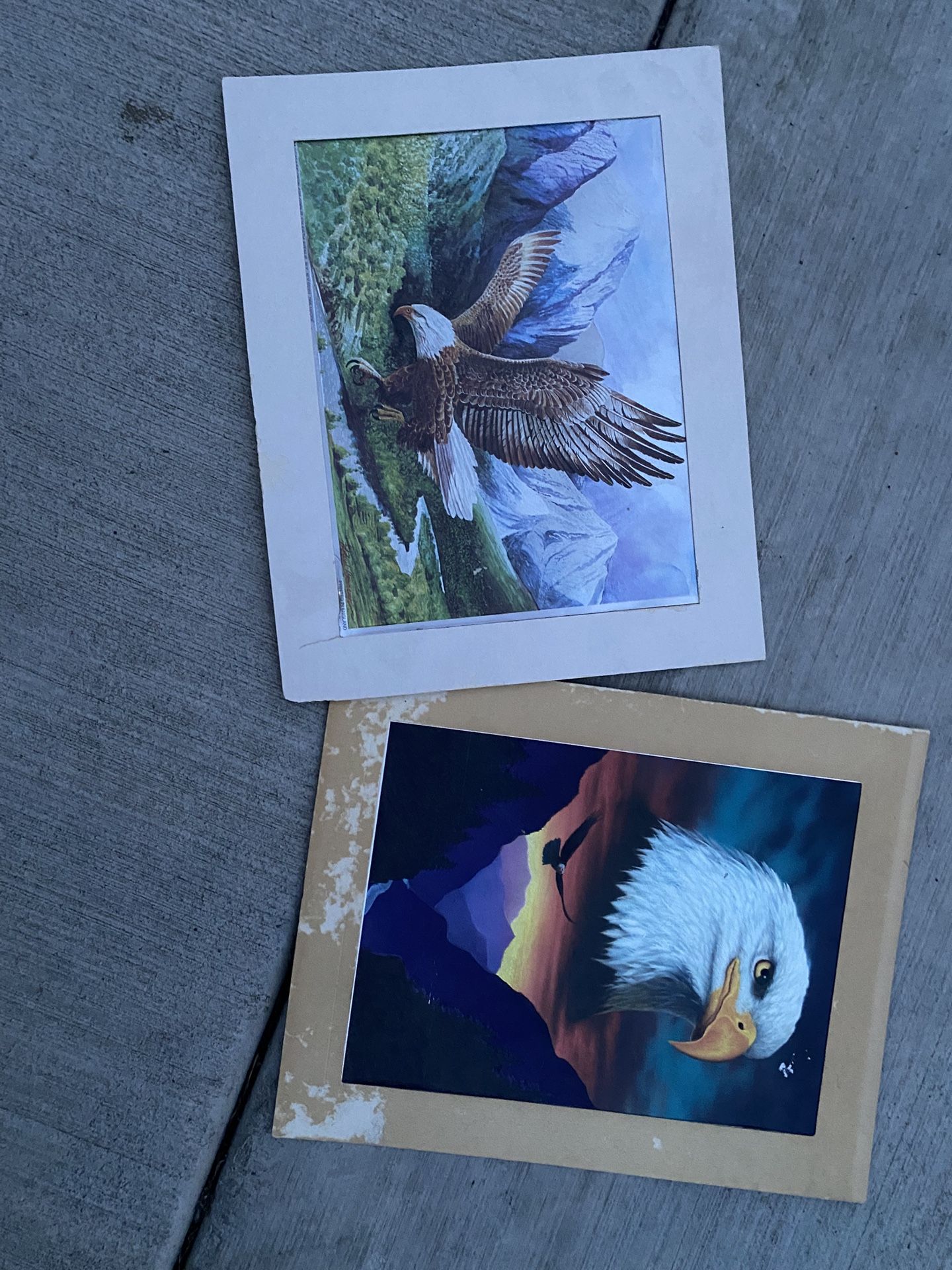 Eagle Holographic Pictures 