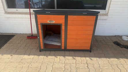 House dog large
