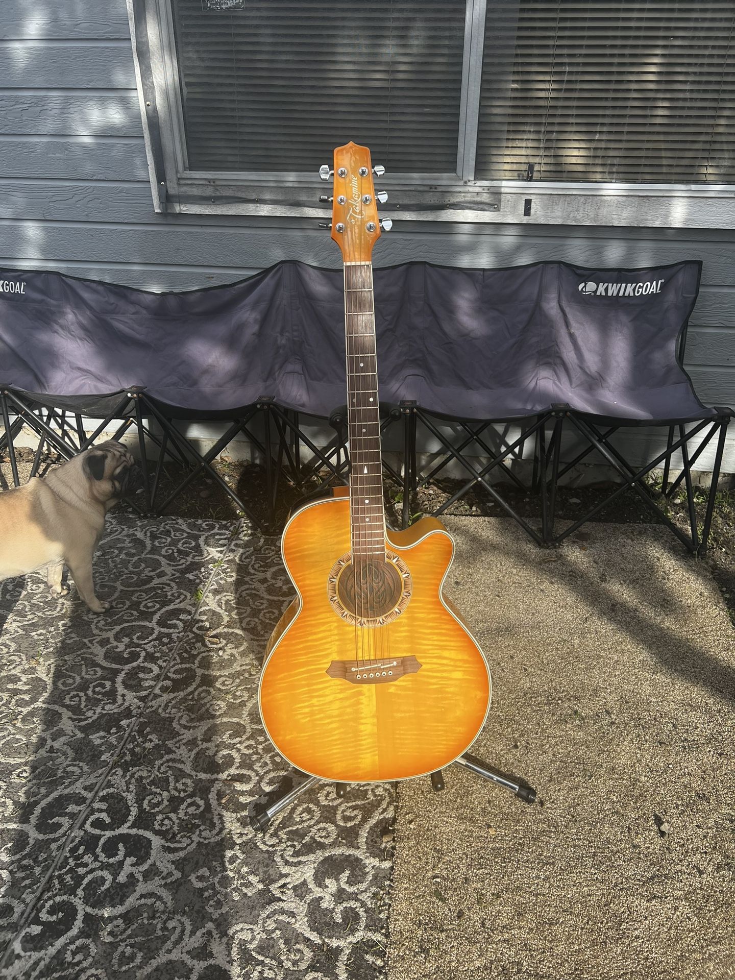 Takamine Pt-510-Fm