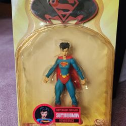 DC Direct Superwoman (NIB 2007) From Superman/Batman Vengeance