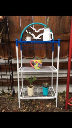 Plant stand with succulents & cactus