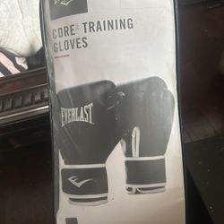 Brand New Everlast Boxing Gloves 